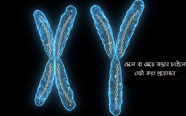 C37P2T x - chromosome, y - chromosome. Image shot 2010. Exact date unknown.